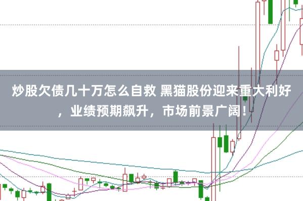 炒股欠债几十万怎么自救 黑猫股份迎来重大利好，业绩预期飙升，市场前景广阔！