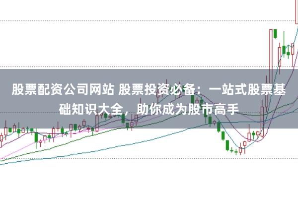 股票配资公司网站 股票投资必备：一站式股票基础知识大全，助你成为股市高手