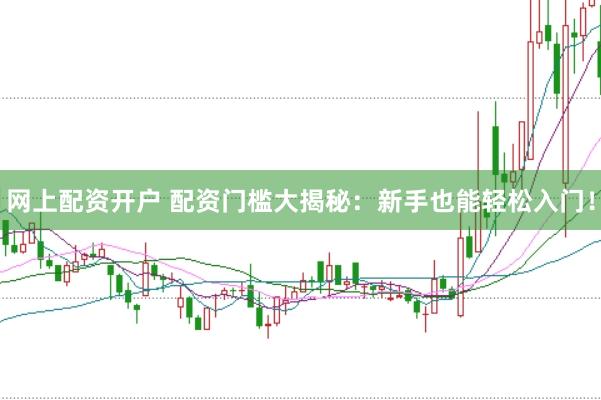 网上配资开户 配资门槛大揭秘：新手也能轻松入门！