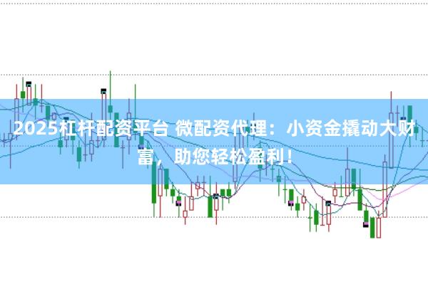 2025杠杆配资平台 微配资代理：小资金撬动大财富，助您轻松盈利！