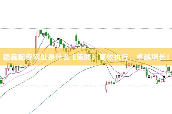 稳赢配资网址是什么 E策略：高效执行，卓越增长！