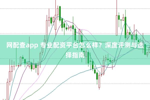 网配查app 专业配资平台怎么样？深度评测与选择指南