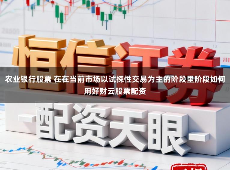 农业银行股票 在在当前市场以试探性交易为主的阶段里阶段如何用好财云股票配资